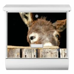 Burg-Wächter Briefkasten Postkasten Wandbriefkasten Nordland Esel -Türschilder aus Edelstahl Geschäft burg waechter briefkasten postkasten wandbriefkasten nordland esel2