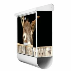 Burg-Wächter Briefkasten Postkasten Wandbriefkasten Nordland Esel -Türschilder aus Edelstahl Geschäft burg waechter briefkasten postkasten wandbriefkasten nordland esel3