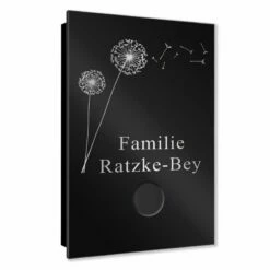 Ultraflache Aufputz Funkklingel Edelstahl 110x160mm RW 400m 52 Melodien Pusteblume -Türschilder aus Edelstahl Geschäft ultraflache aufputz funkklingel edelstahl 110x160mm rw 400m 52 melodien pusteblume3