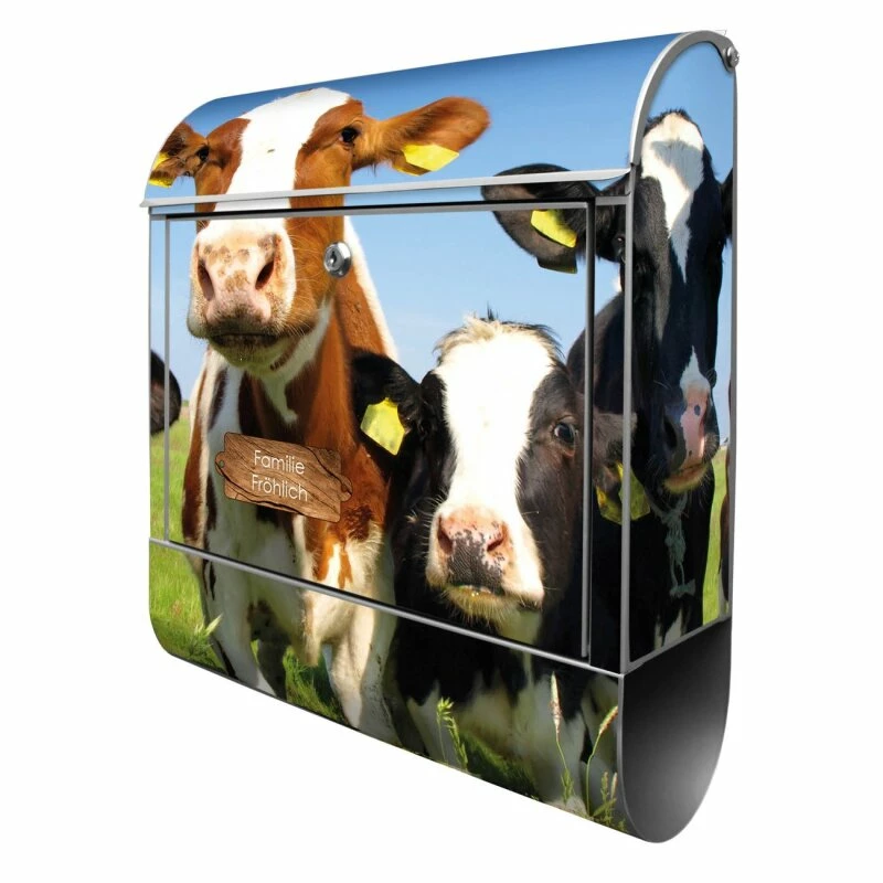 Wandbriefkasten Briefkasten Edelstahl Kühe 1 Wandbriefkasten Briefkasten Edelstahl Kühe