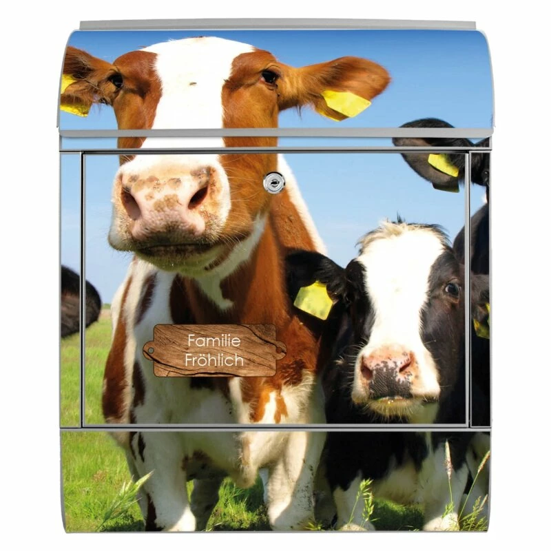 Wandbriefkasten Briefkasten Edelstahl Kühe 2 Wandbriefkasten Briefkasten Edelstahl Kühe – Bild 2